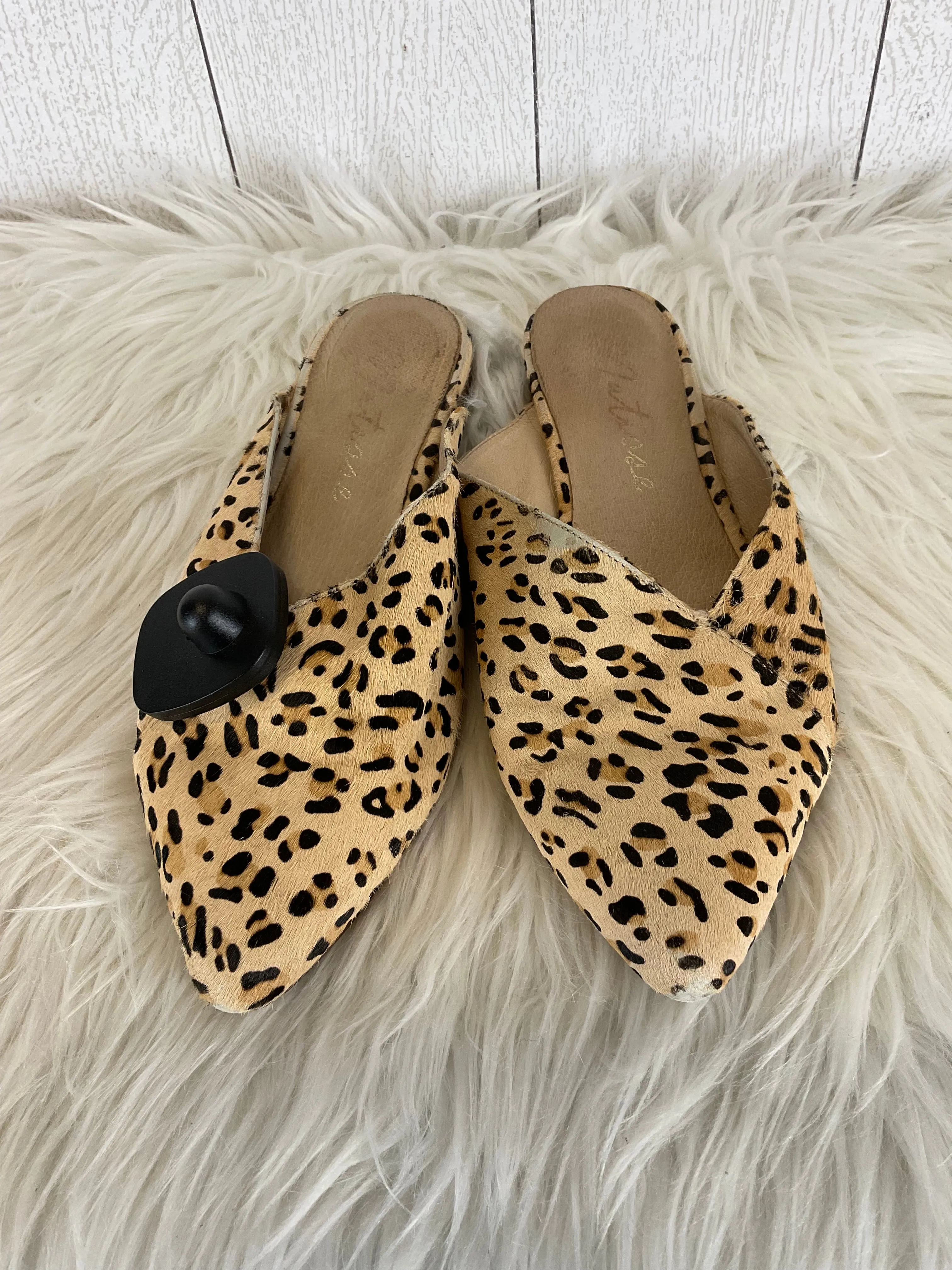 Shoes Flats By Matisse In Animal Print, Size: 7